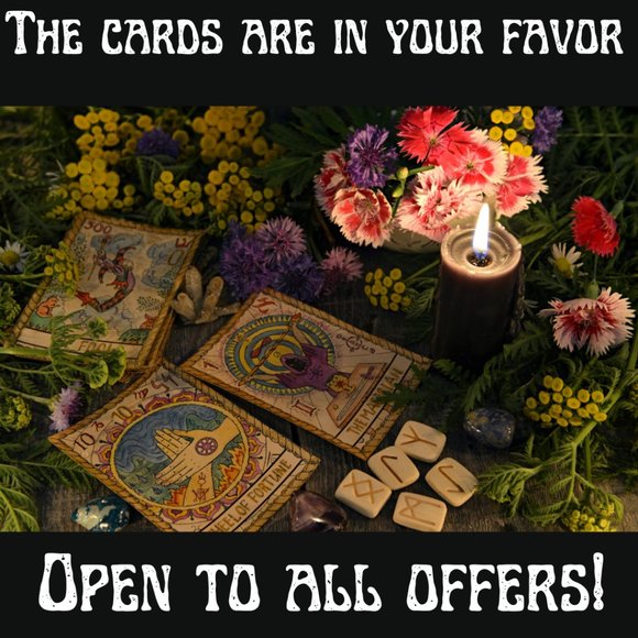 Open to Trades! - Picture 3 of 7